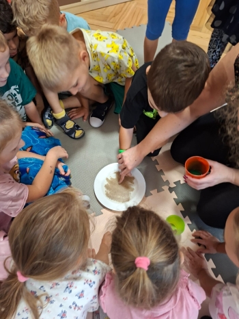 inbound7495323360077556629