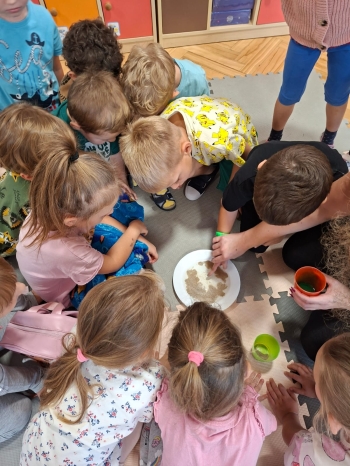 inbound6110886203517306037