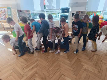 inbound1431026176610918051