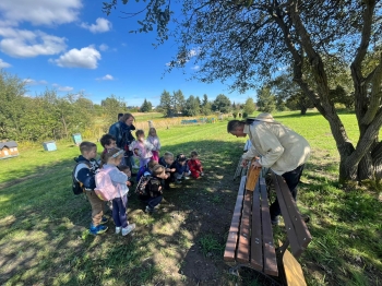 inbound7062197798609092336