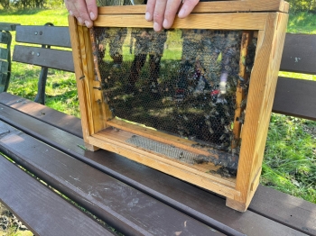 inbound5366641045855585850