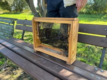 inbound6826394634776068728