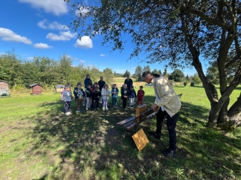 inbound4655436035833710198