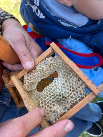 inbound6704613518242991997