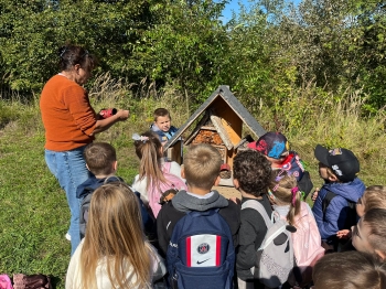 inbound6794368770068181990