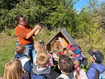 inbound293974711450609555