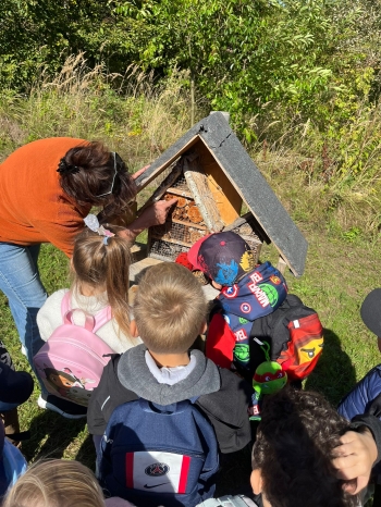 inbound4297325705989105271