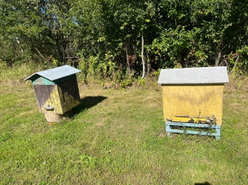 inbound2814548073840853460