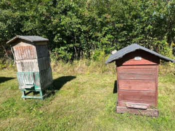 inbound1899338574817483068