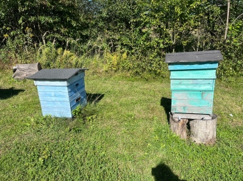 inbound6936711097275127924