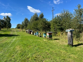 inbound657533310509283031