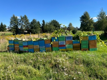 inbound8855612487782615418