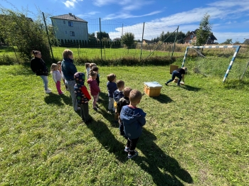 inbound6379202706143634118