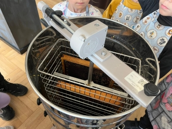 inbound5770476980529095868