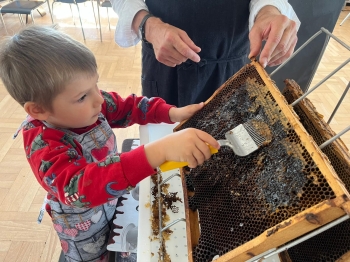 inbound2945201382572454309