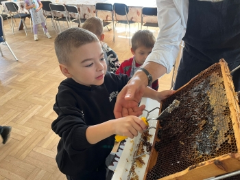 inbound7870662090384459068