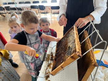 inbound8423852206666506490