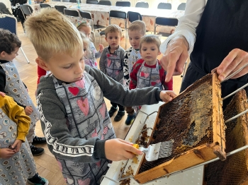 inbound5084467947265506685