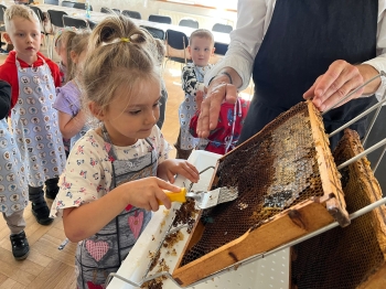 inbound4426078400721238911