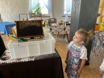 inbound10817669641253989