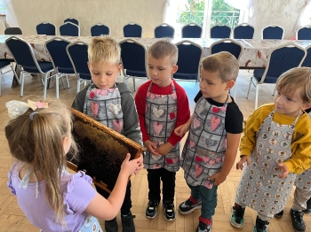 inbound3928801980490070512