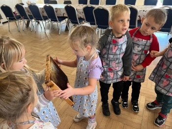 inbound4925871904481654744