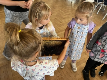 inbound7187521042873904433