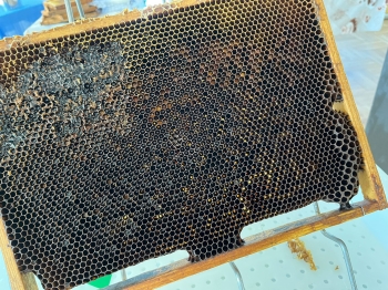 inbound7671695074817606581