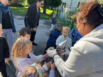 inbound8377787296886241673