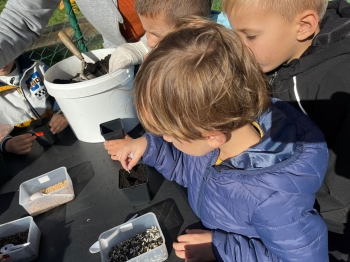 inbound3191639704102601851