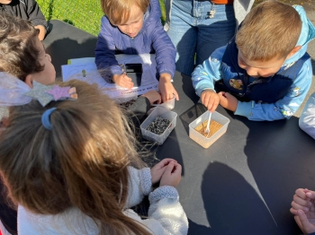 inbound1191720589170221898