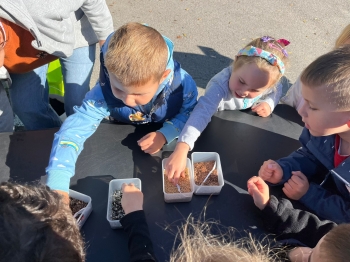 inbound4532790448749740269