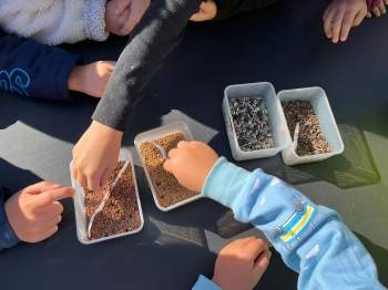 inbound252023756891628184