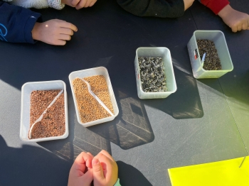 inbound1516816960574430293