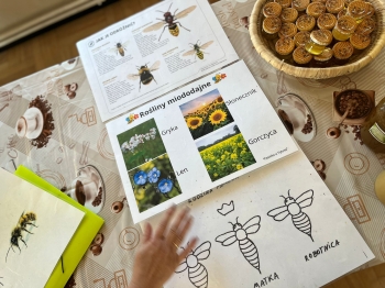 inbound8661706929604239437