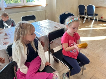 inbound4626711535337004220