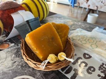 inbound6738502840492101115