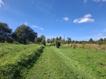 inbound4832434705160229420