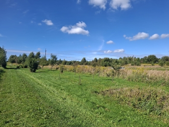 inbound3719733696189639771