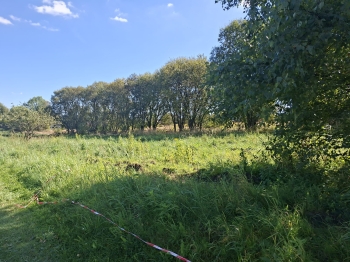 inbound5666711795671073616