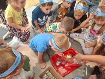 inbound4691109542383577761