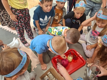 inbound4280400235313631663