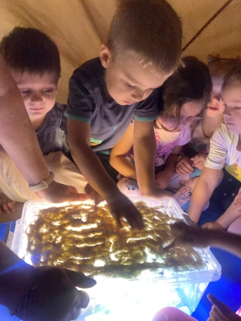 inbound7064782263223119157