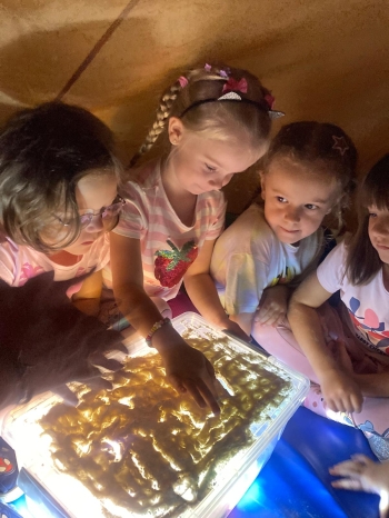 inbound3197675987674604232