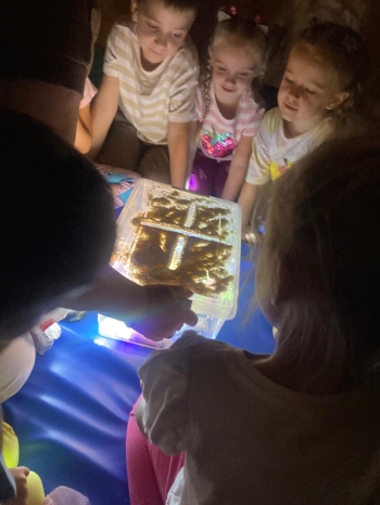 inbound4739207530940642478