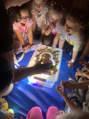 inbound7980215852073668349