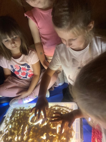 inbound2280521216663261854