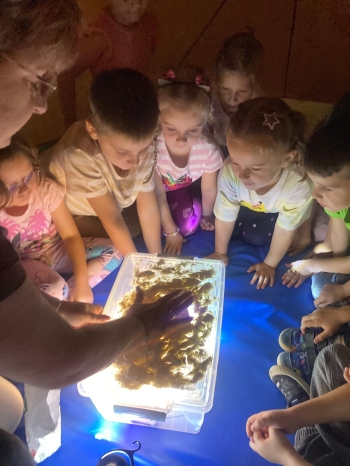 inbound54985294817344213