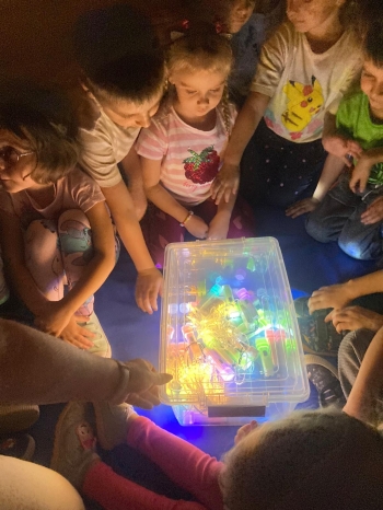 inbound5862687699527196988