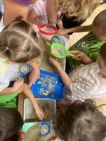 inbound6726405549983262628